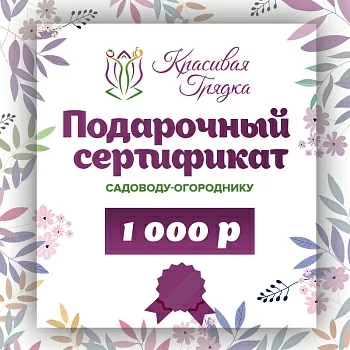Подарочный сертификат 1000 р.